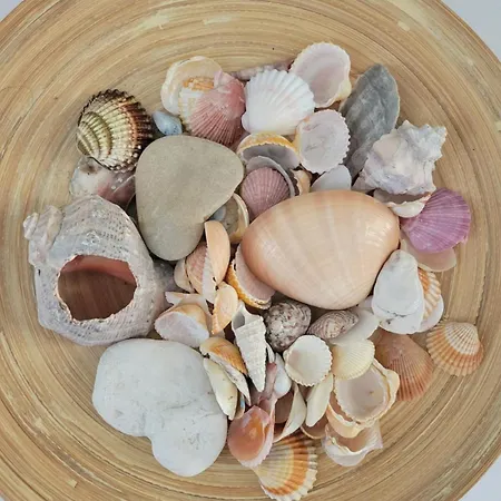 דירה Pixel Sea A Misano Brasile 300 M Dal Mare E Free Parking, Misano World Circuit A 7 Minuti Di Macchina *