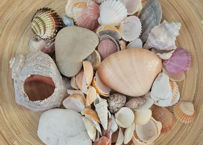 Apartamento Pixel Sea A Misano Brasile 300 M Dal Mare E Free Parking, Misano World Circuit A 7 Minuti Di Macchina *